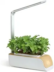 Mobiclinic®, Hydroponic Propagation System, Mini Grow, Indoor Herb Garden, Adjustable Height and Angle, Watering Timer and Reminder, Plant Germination Set, Automatic LED, 4.5 W