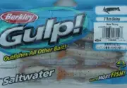 Berkley GSSHR3-NP Gulp 3" Shrimp New Penny 6 Ct