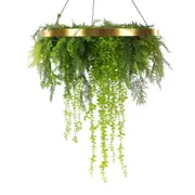 Imitation Gold Artificial Hanging Green Wall Disc 80cm (Limited Edition) UV Resistant Foliage