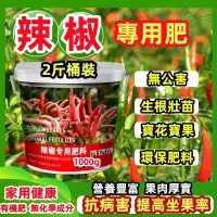 在飛比找蝦皮購物優惠-【台灣熱賣】辣椒專用肥   菜椒 辣椒 青椒 朝天椒 線椒 