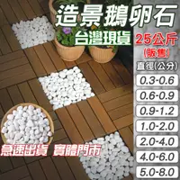 在飛比找蝦皮購物優惠-【實體店 現貨】鵝卵石 【25KG】 多款尺寸 白色小石頭盆