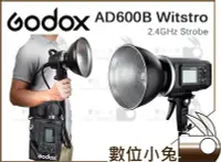 在飛比找Yahoo!奇摩拍賣優惠-數位小兔【Godox 神牛 AD600BM 棚燈】2.4G 