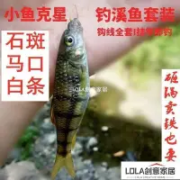 在飛比找Yahoo!奇摩拍賣優惠-免運-手工綁制溪哥溪流釣小河魚白條馬口石斑魚手桿手竿七星漂魚