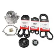 Basco Drive Belt with Pulley & Water Pump - DBS1003EPWP