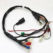 TDR Wire Loom Wiring Harness for Monkey Z50 50CC Z50J G50F Bike Complete Main Harness for Electric Kickstart Engine