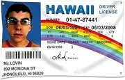 Wassupup 3x5 Feet Mclovin Id Flag, Novelty College Funny Dorm Banner - Vivid Color & Fade Proof - Double Stitched Polyester with Brass Grommets 3 X 5 Ft Tapestry