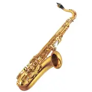 YAMAHA YTS-875EX Tenor Saxophone Gold w/Case YTS875EX 875EX Japan Fast Ship