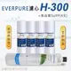 Everpure 美國原廠平行輸入 H300 濾心+高品質前置5uPP濾心(5支組)-水蘋果專業淨水/快速到貨購物中心