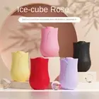Silicone Facial Ice Cube Skin Care Face Massager New Ice Roller Beauty Tool
