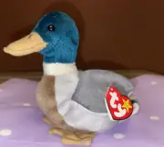 Jake The Drake RARE TAG ERRORS Ty Beanie Baby Mallard Duck GREAT CONDITION