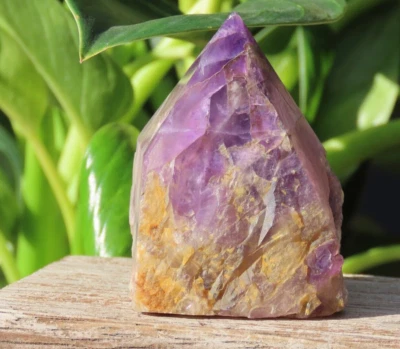 Rough & Polished Amethyst Crystal Generator Point 165 Grams