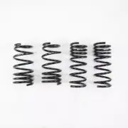 RS-R Fit 90-99 Toyota Previa (TCR10W) Super Down Springs (for: Toyota)