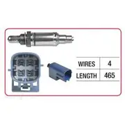 RAE Oxygen Sensor - OX762