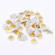 50Pcs Drawing Pins White Thumb Tacks Push Brass Assorted Colours Board Cork