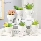 Drought Resistant Succulent Plant Pot Ceramic Plant Pots Hotel