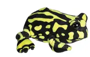 Hug Ems Plush Toy - Corroboree Frog
