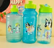 Bluey bottles set of 3