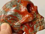 2.8" 70mm "So Impressive"~Realistic WARRING STATES AGATES (战国红玛瑙) SKULL A1382