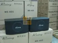 在飛比找Yahoo!奇摩拍賣優惠-【音響倉庫】Rising可懸吊.立放 高階10吋卡拉OK喇叭