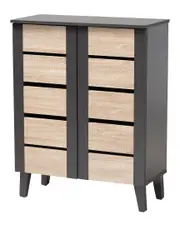Design Studios Melle 2-Door Wood Entryway Shoe Storage Cabinet