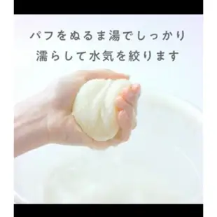 現貨 日本🇯🇵 FANCL 芳珂 深層潔淨 洗臉海綿 按摩海綿 起泡海綿  潔顏粉 潔顏乳專用