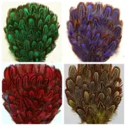 DYED PHEASANT FEATHER PAD - VARIOUS COLORS Headbands/Beads​/Hats/Costume