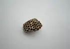 Missouri Paper Wasp Hive 2", Homeschool, Insect Nest Specimen, Real, Natural