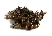 Scrapbook Brads Antique Copper Mini Size