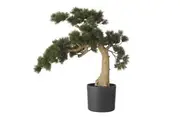 Rogue Artificial Bonsai Tree Fake Pine Bonsai Indoor Potted Plant Home Decor