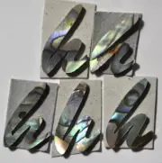 5 Letters Lowercase H in Paua Abalone 10.7mm x 14.5mm x 1.5mm thickness