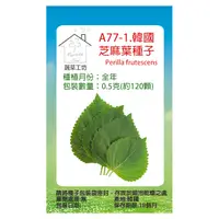 在飛比找PChome24h購物優惠-A77-1.韓國芝麻葉種子0.5克(約120顆)