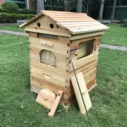 Auto Seep Bee Hive Honey Beekeeping Frames Beehive House+ 7 Bee Comb Hive Frames