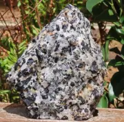 Large 1.82 KG Rough & Raw Black Tourmaline In Quartz With Base Cut Natural