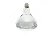 IXL Genuine Replacement Part E27 275W Tastic Heat Lamp Globe 11300