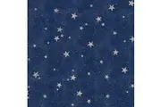 Crown Starlight Stars Wallpaper (Navy/Gold) (One Size)