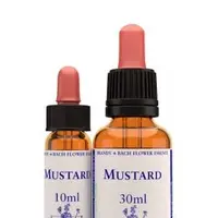 在飛比找蝦皮購物優惠-巴哈花精-10ml 芥末 Mustard