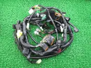 SUZUKI Genuine New Gladius650 Main Harness JS1CX111200 6076