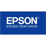 【文具通】EPSON S020025/39墨水匣2入 R1010028