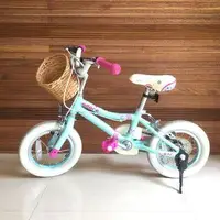 在飛比找旋轉拍賣優惠-捷安特小童車 Giant 12” kids bike