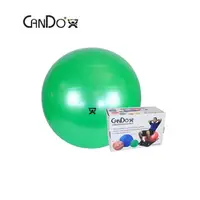 在飛比找蝦皮購物優惠-CanDo® Exercise Ball 進口專業健身球 肌