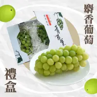 在飛比找台灣好農優惠-限量好物【陽山水果】麝香葡萄 A2禮盒