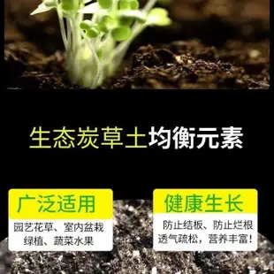 爆款熱銷-多肉植物專用營養土 草碳土蛭石椰糠珍珠巖有機腐殖土混合種植土