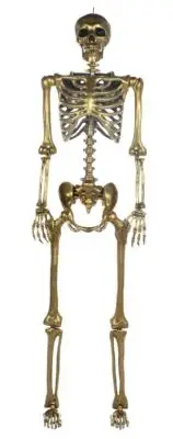 Seasons 68 Inch Gold Posable Skeleton - Bone Color