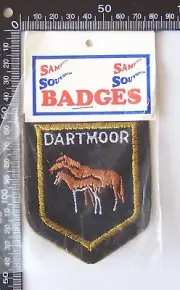 VINTAGE DARTMOOR DEVON ENGLAND TRAVEL SOUVENIR PATCH WOVEN CLOTH SEW-ON BADGE