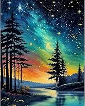 KEUASDV DIY Oil Painting, Paint by Number Kits on Canvas, Painting for Adults, Kids, Students and Beginner Arts Craft for Home Wall Decor 16 x 20 inch (Starry Night)