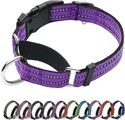 JOYEEIIOO Martingale Dog Collar, Adjustable Nylon Reflective Collar with Quick Release Buckle (Real Purple, Medium)