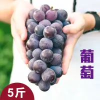 在飛比找台灣好農優惠-【雙連梨】巨峰葡萄禮盒5斤