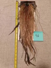 Whiting Pro Grade CREE Midge Rooster Saddle Feathers Hackle Fly Tying NEW