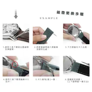 Watchband / SEIKO LUKIA 精工 別緻鮮亮 壓紋牛皮替用錶帶 白色