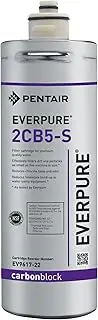 Everpure EV961722 2CB5-S Filter Cartridge